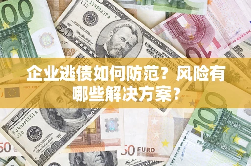 武汉企业逃债如何防范？风险有哪些解决方案？