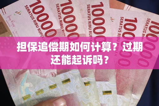 武汉担保追偿期如何计算？过期还能起诉吗？