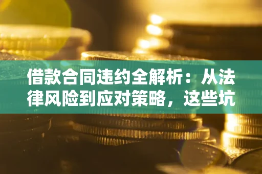 武汉借款合同违约全解析：从法律风险到应对策略，这些坑别再踩！