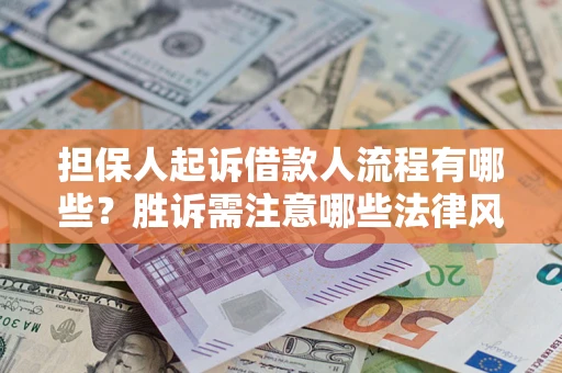 武汉担保人起诉借款人流程有哪些？胜诉需注意哪些法律风险？