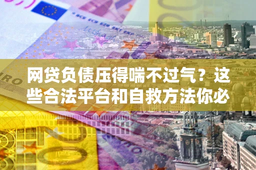 武汉网贷负债压得喘不过气？这些合法平台和自救方法你必须知道！