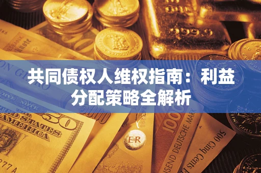 武汉共同债权人维权指南：利益分配策略全解析