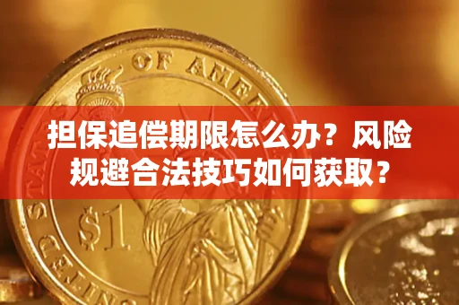 武汉担保追偿期限怎么办？风险规避合法技巧如何获取？