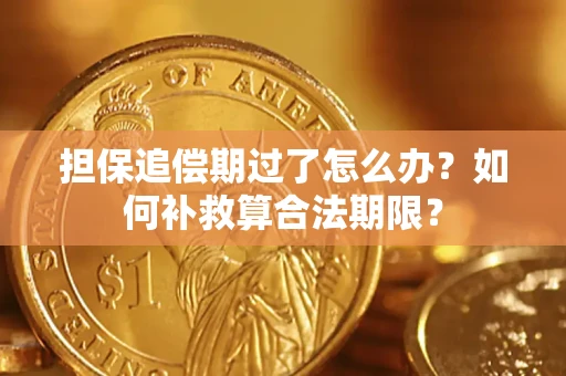 武汉担保追偿期过了怎么办？如何补救算合法期限？