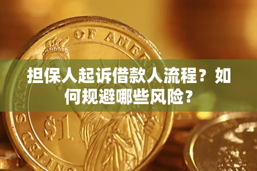 武汉担保人起诉借款人流程？如何规避哪些风险？